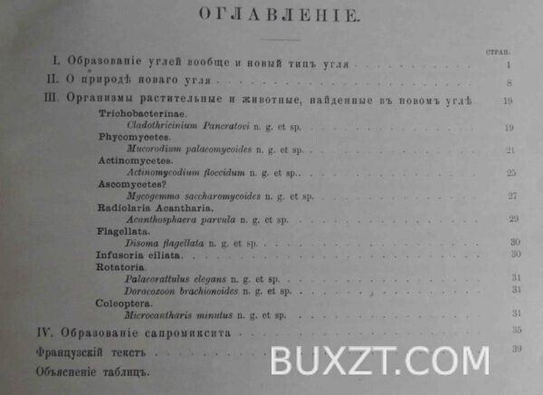 Естественная история одного угля. Залесский М. — изображение 2