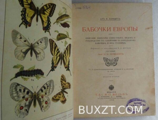 Бабочки Европы. Борециус Ф. — изображение 2
