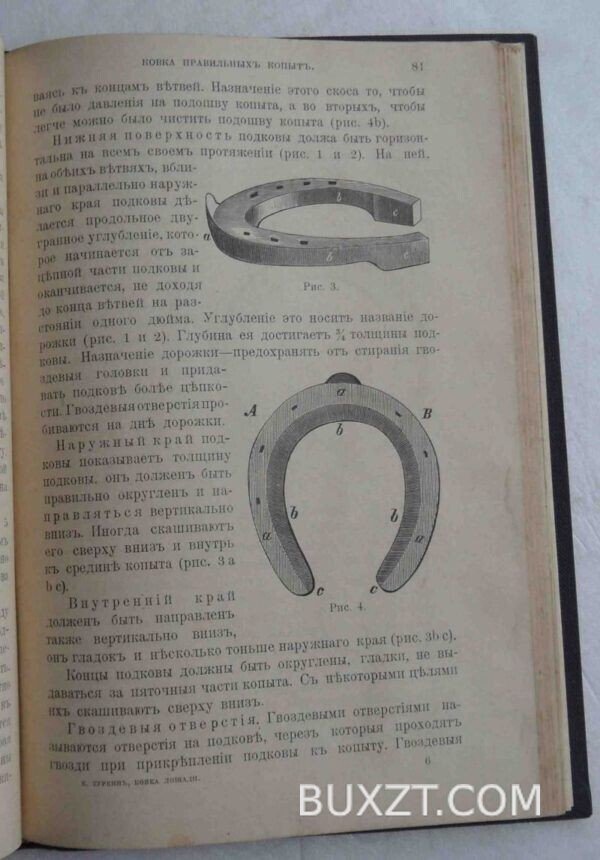Ковка лошади. Туркин Е. — изображение 5