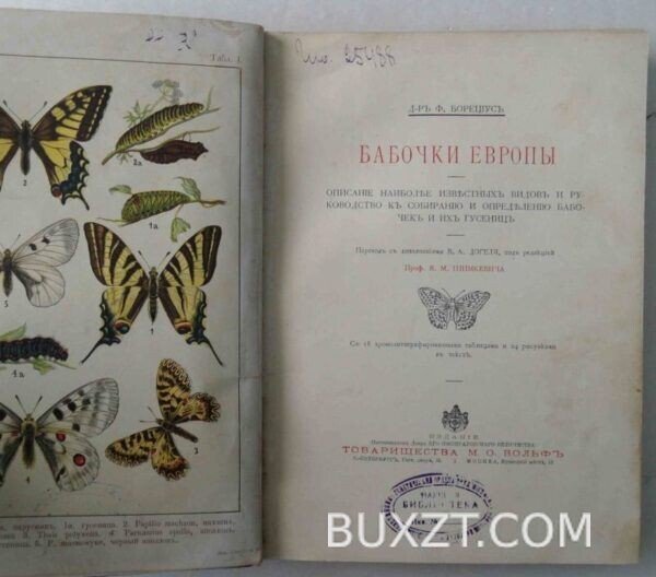 Бабочки Европы. Борециус Ф.